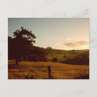 Tasmanian Summer Sunset Postkarte