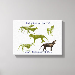 Tasmanian Tiger Thylacine Canvas Print Leinwanddruck