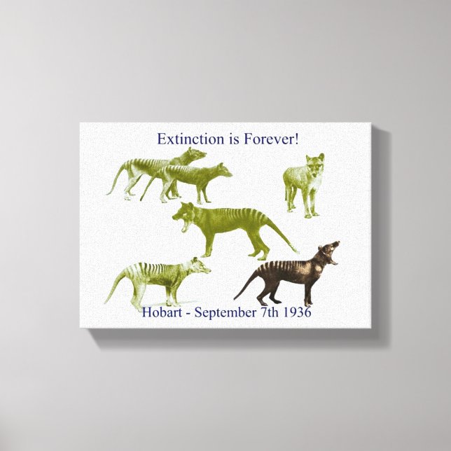 Tasmanian Tiger Thylacine Canvas Print Leinwanddruck (Vorderseite)
