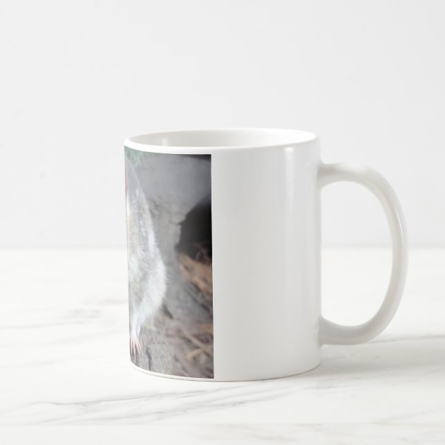 Tasmaniens Quoll Tasse (Rechts)