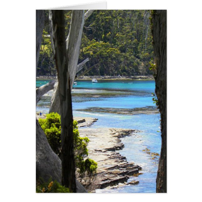 Tasmanische Küste (Vorne)