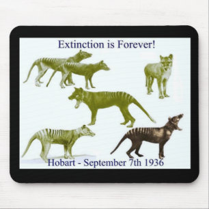 Tasmanische Tigerthylacine-Mausunterlage Mousepad