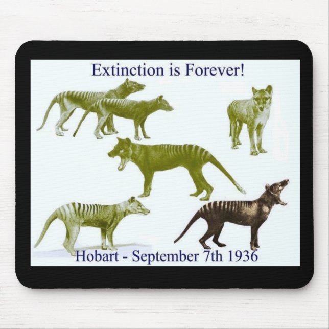 Tasmanische Tigerthylacine-Mausunterlage Mousepad (Vorne)