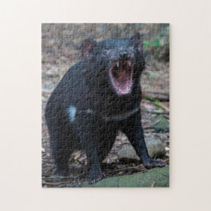 Tasmanischer Teufel in Tasmanien Australien, 252 S Puzzle