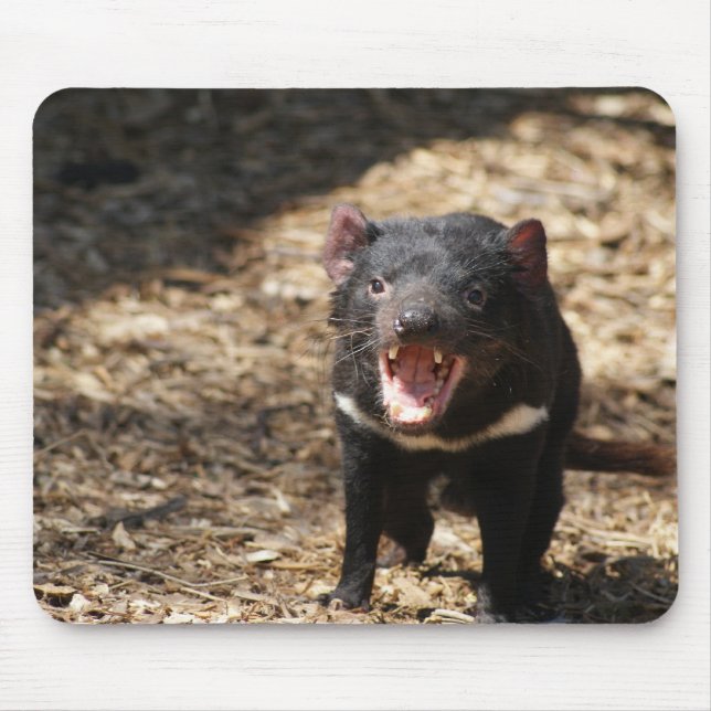Tasmanischer Teufel Mousepad (Vorne)