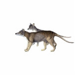 Tasmanischer Tiger-Ausschnitt-Magnet/Skulptur Freistehende Fotoskulptur<br><div class="desc">Der Thylacine war das größte bekannte Fleisch fressende Beuteltier der modernen Zeiten. Es bekannt allgemein als der tasmanische Tiger. Eingeborener nach kontinentales Australien, Tasmanien und Neu-Guinea, wird es gedacht, im 20. Jahrhundert, aber in den australischen seltenen Fauna-Forschungsgemeinschaftberichten ausgestorben geworden zu sein, die 3.800 Anvisieren auf Datei vom Festland Australien seit...</div>