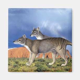 Tasmanischer Tiger-Magnet Magnet