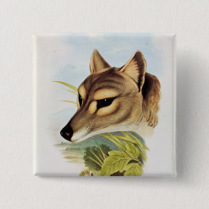 Tasmanischer Wolf oder Tiger Button