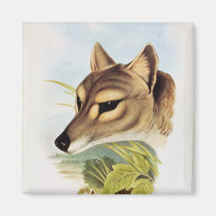 Tasmanischer Wolf oder Tiger Magnet