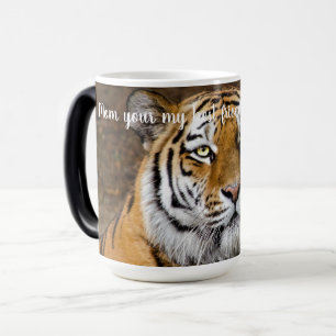Tasse