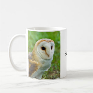 Tasse