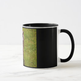 Tasse