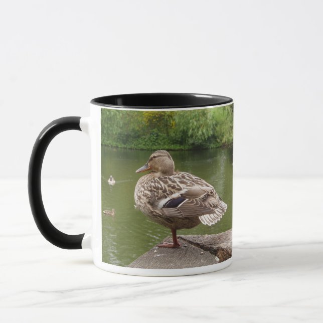Tasse (Links)