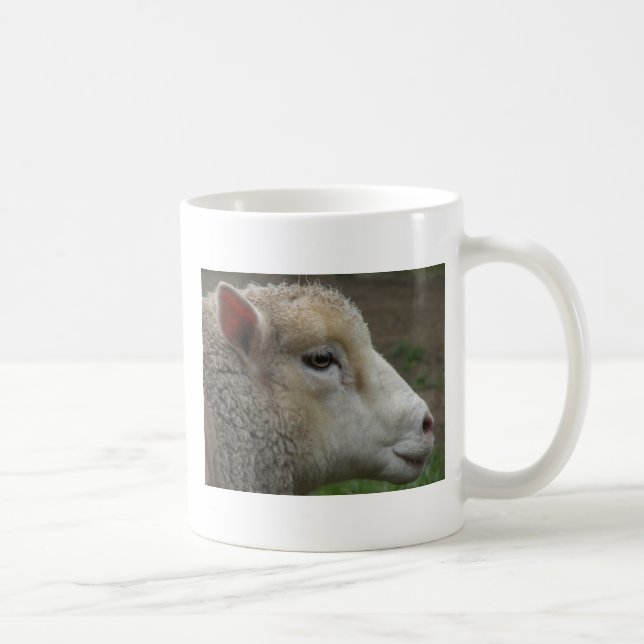 Tasse (Rechts)