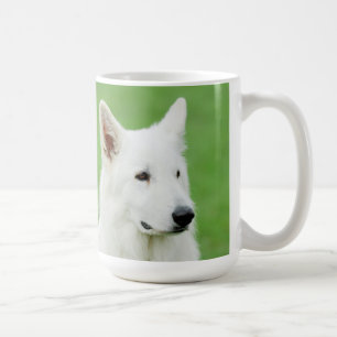 Tasse