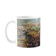 Tasse