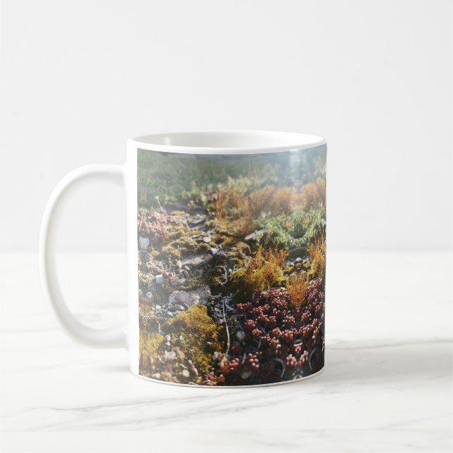 Tasse (Links)