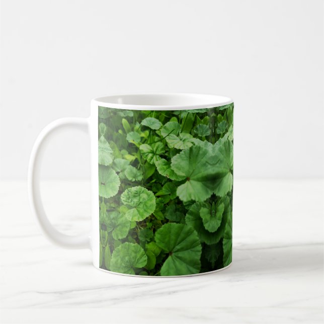 Tasse (Links)