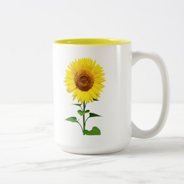 Tasse (Rechts)