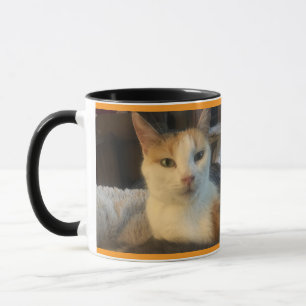 Tasse