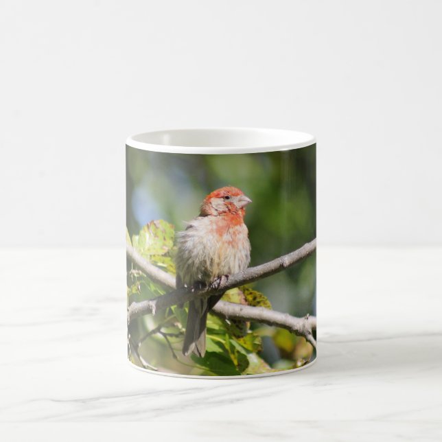 Tasse (Mittel)