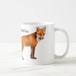 Tasse