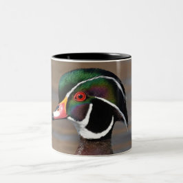 Tasse