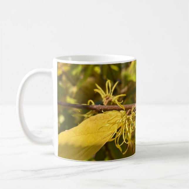 Tasse (Links)