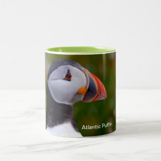 Tasse