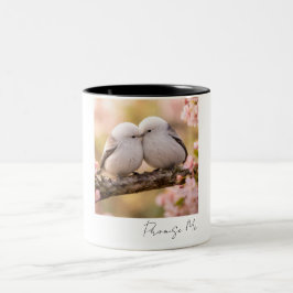 Tasse