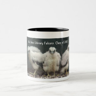 Tasse 2013 Du Bois Falcons