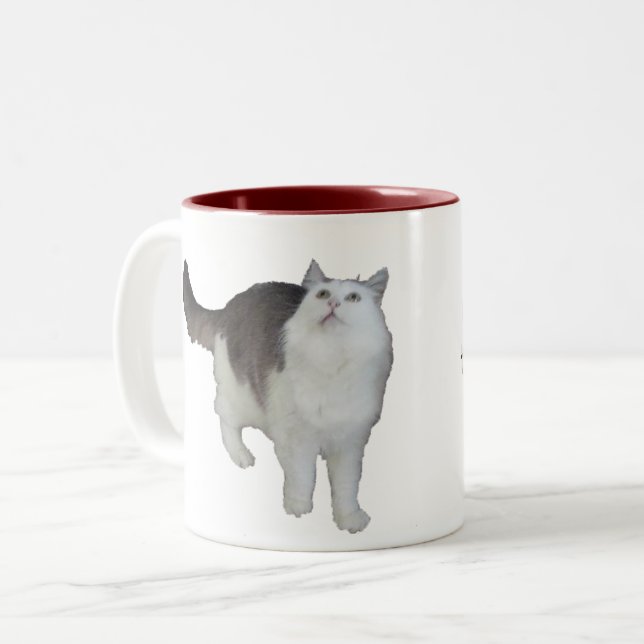 Tasse - betroffene Katze (Vorderseite Links)