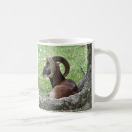 Tasse Bighorn