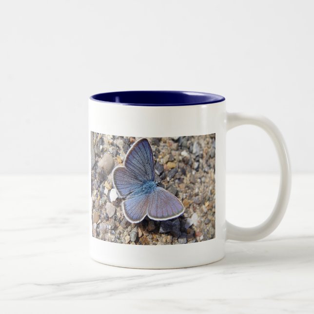 Tasse blauer Schmetterling (Rechts)