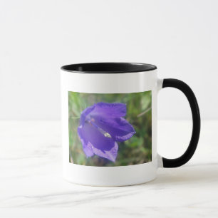 Tasse braue Glockenblume