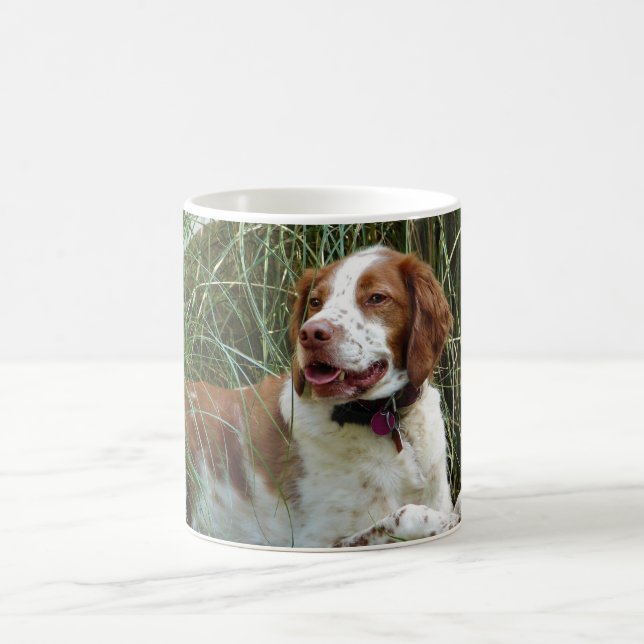 Tasse Brittany Spaniel (Mittel)