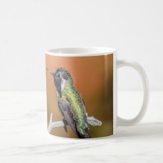 Tasse: Costa's Hummingbird #5 (klassisch) Tasse