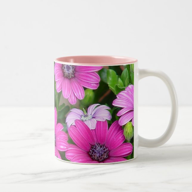 Tasse Cranesbill Pelargonie-(rosa Blumen) (Rechts)