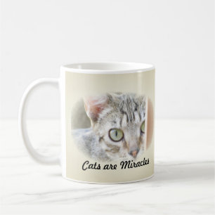 Tasse - Das Wunder der Katzen