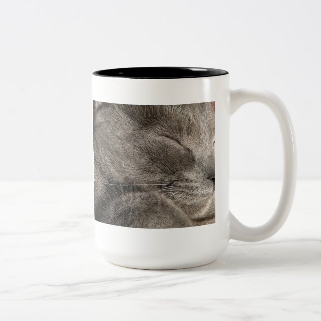 Tasse der Graukatze (Rechts)