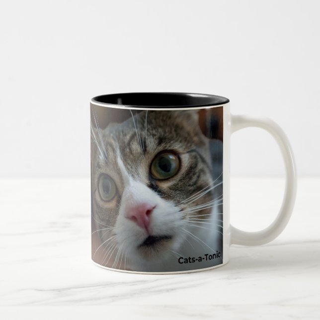 Tasse der Katzen und Dinosaurier (Rechts)