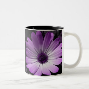 Tasse der lila Daisy-Blume