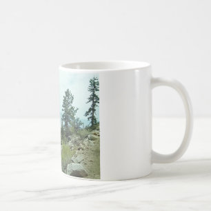 Tasse der Mount- Whitneyhinterder ansicht-#5 -
