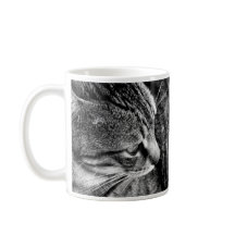 Tasse der Schwarzen und Weißen Katze