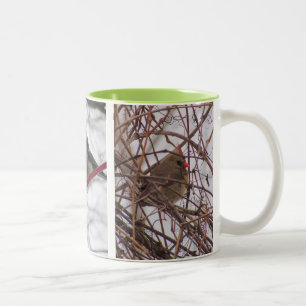 Tasse der Wintervögel