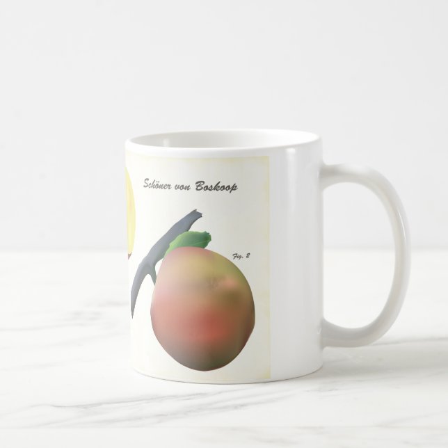 Tasse des Kaffees mit wissenschaftlicher Illustrat (Rechts)