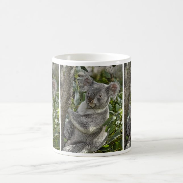 Tasse des Koala-Bärn-2 (Mittel)