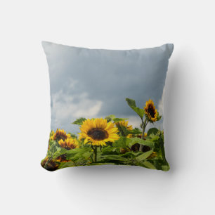 Tasse des Sonnenblumenfelds Kissen