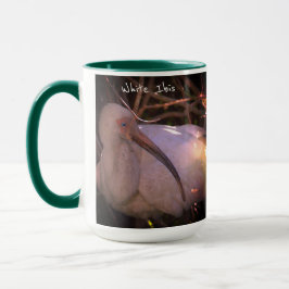Tasse des White Ibis Bird-Fotos