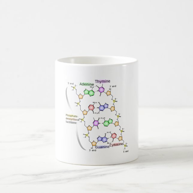 TASSE Diagramm der chemischen Struktur von DNA (Mittel)